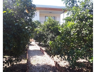 اجاره اقامتگاه و باغ نزدیک بابل