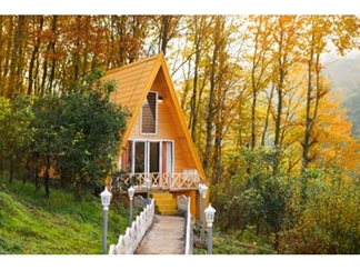 اجاره کلبه چوبی جنگلی تنکابن