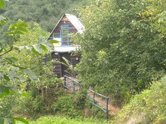 اجاره کلبه جنگلی در لاویج نور