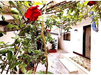 اجاره ویلا در فریدونکنار ساحلی