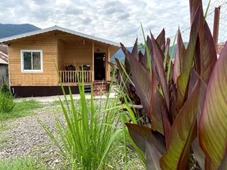 اجاره کلبه چوبی جنگلی در ماسال