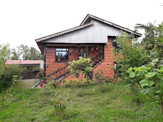 اجاره خانه جنگلی در جاده اسالم