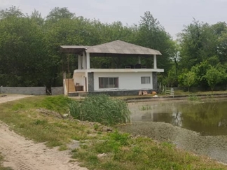 اجاره ویلا جنگلی در نور کنار برکه