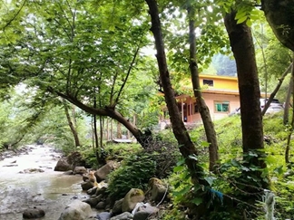 اجاره ویلا جنگلی در تالش