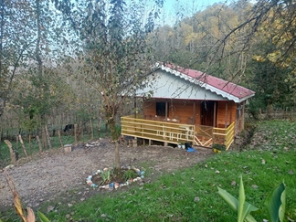 اجاره کلبه چوبی جنگلی در ماسال