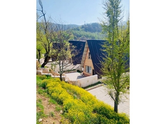 اجاره کلبه چوبی جنگلی سوادکوه