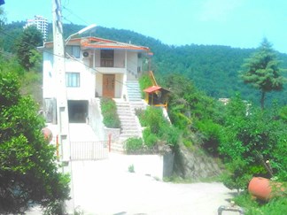 اجاره ویلا جنگلی شمال