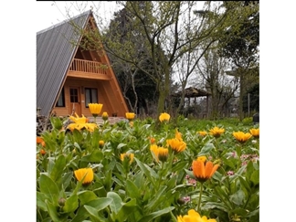 اجاره کلبه چوبی سوییسی ماسال