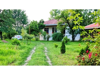 اجاره ویلا جنگلی در ماسال