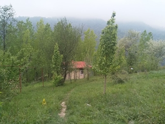 اجاره اقامتگاه نقلی در ماسال