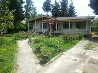 ویلا اجاره ای دربست در رامسر