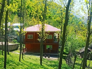 اجاره ویلا چوبی جنگلی در ماسال