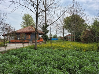 اجاره خانه ویلایی نزدیک ماسوله