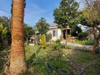 ویلا با استخر چهارفصل محمودآباد