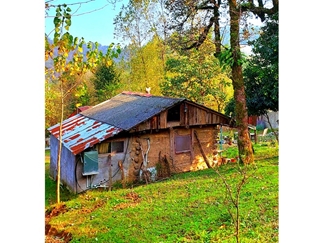اجاره خانه روستایی در فومن