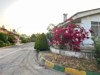 اجاره ویلا داخل نمک آبرود