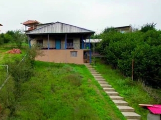 بومگردی ونوشه در یخکش بهشهر