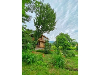 اجاره ویلا چوبی جنگلی در ماسال