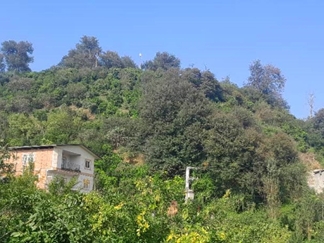 اجاره کلبه جنگلی شیرگاه سوادکوه