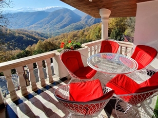 ویلا جنگلی با استخر جکوزی رامسر