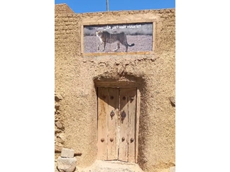 اقامتگاه بومگردی قلعه امیرخان