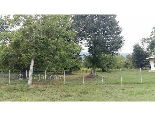 عکس شماره 103785 - اجاره ویلا در شاندرمن ماسال - 