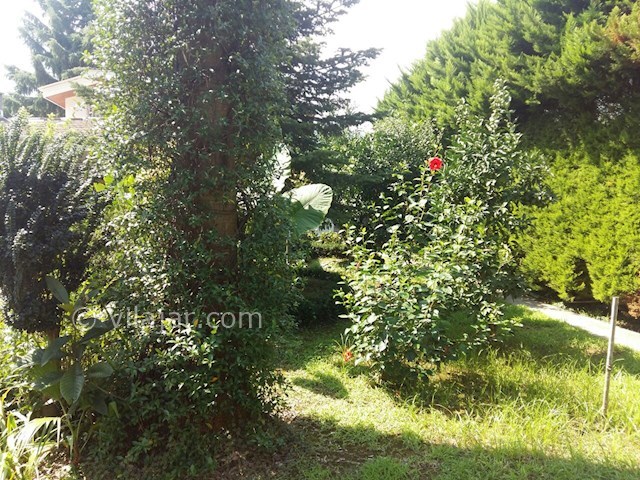 عکس شماره 104389 - اجاره ویلای دربست حیاط دار - 