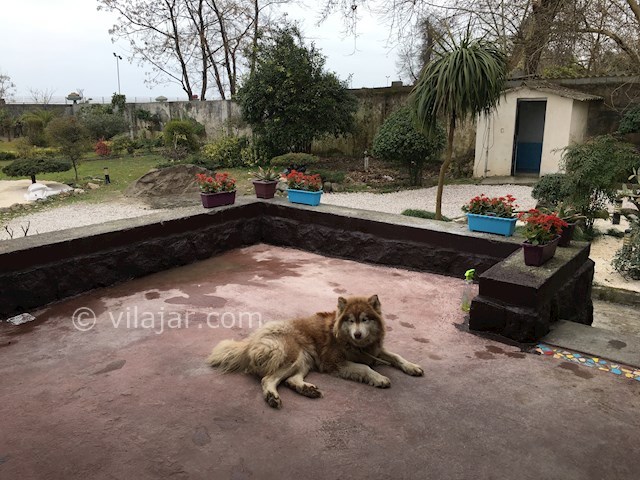 عکس شماره 105569 - ویلا ساحل اختصاصى متل قو - 