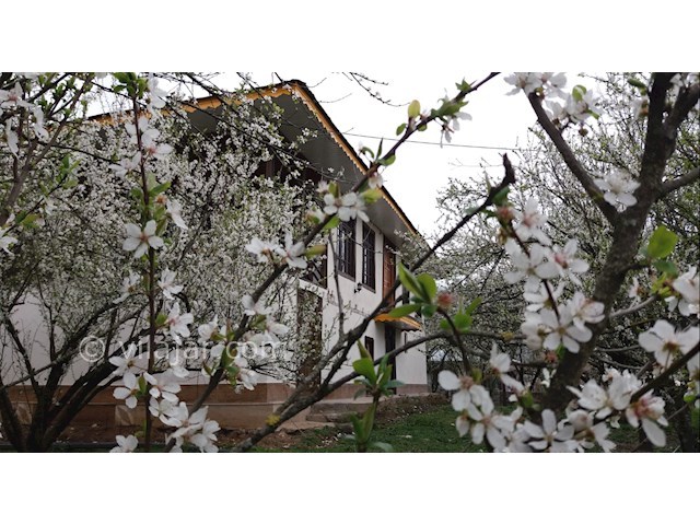 عکس شماره 106511 - اجاره عمارت سنتی در تالش - 