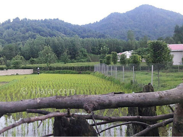 عکس شماره 109975 - اجاره ویلا در قلعه رودخان - ویو از سر خیابان به سمت ویلا