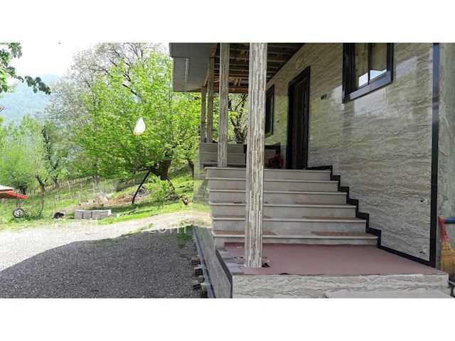 عکس شماره 114985 - اجاره ویلای جنگلی در ماسال - 