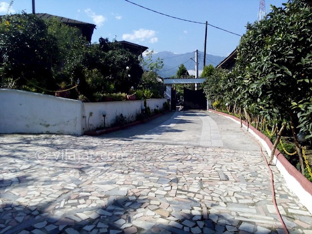 عکس شماره 116033 - اجاره ویلای جنگلی چابکسر - 