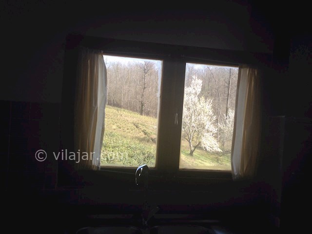 عکس شماره 116223 - ویلای جنگلی استخردار در تنکابن - 