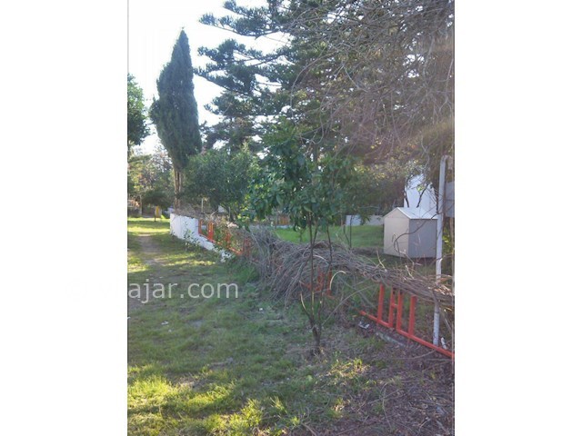 عکس شماره 117537 - اجاره ویلا در شهرک دریاکنار - 