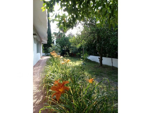 عکس شماره 117541 - اجاره ویلا در شهرک دریاکنار - 