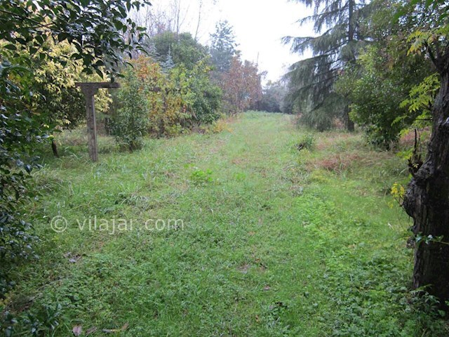 عکس شماره 117663 - اجاره ویلای دربست حیاط دار - 