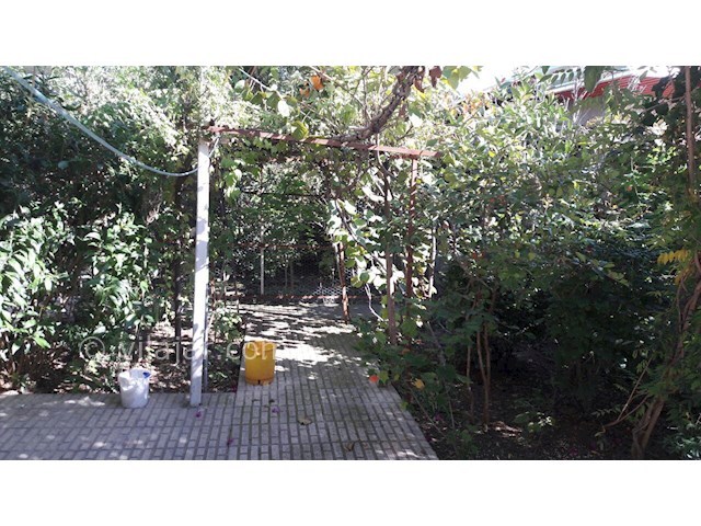 عکس شماره 118065 - اجاره خانه ویلایی در ساری - 