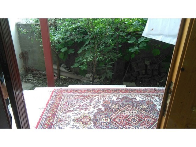 عکس شماره 123949 - اجاره ویلا حیاط دار جنگلی - 