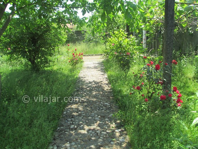 عکس شماره 12419 - اجاره ویلا در شمال گیلان - 