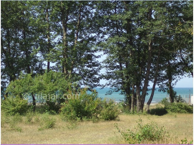 عکس شماره 12457 - اجاره ویلا در شمال رامسر - 