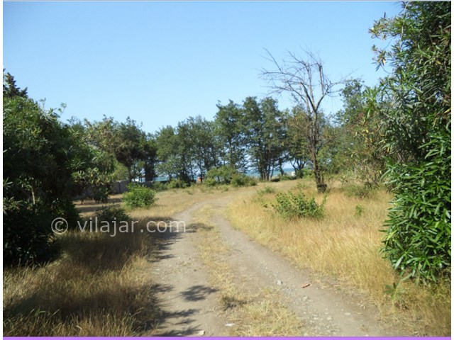 عکس شماره 12495 - اجاره ویلا در شمال رامسر - 