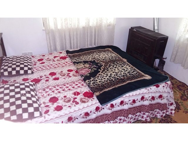 عکس شماره 125233 - اجاره ویلا جنگلی چابکسر - 