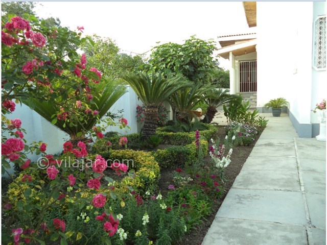 عکس شماره 12651 - اجاره ویلا شمال در رامسر - 