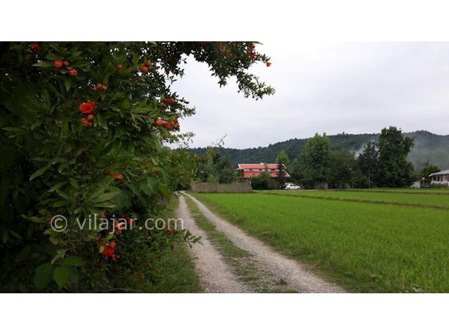 عکس شماره 126597 - اجاره ویلا استخر آبگرم در ماسال - 