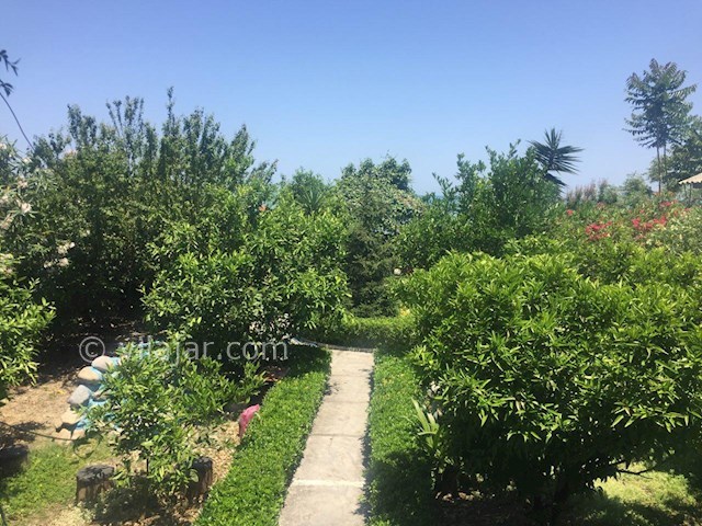 عکس شماره 126833 - اجاره ویلا با ساحل اختصاصی - 