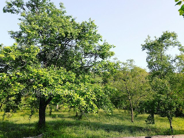 عکس شماره 128261 - اجاره ویلا روستایی در ماسال - 