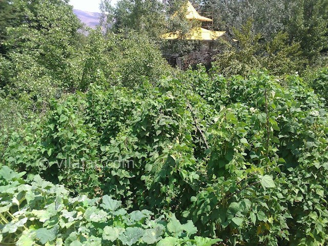 عکس شماره 129965 - اجاره ویلا جنگلی تراس دار کلاردشت - 