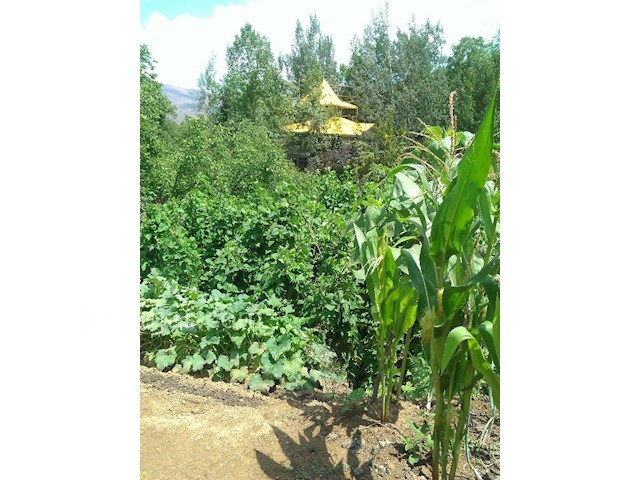 عکس شماره 129989 - اجاره ویلا جنگلی تراس دار کلاردشت - 