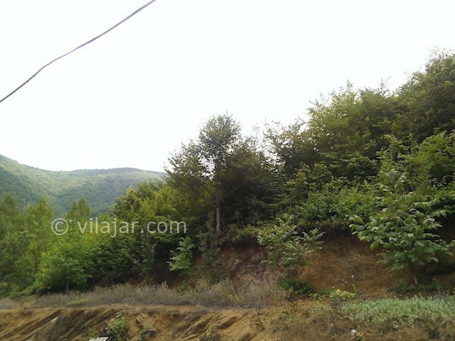 عکس شماره 130001 - اجاره ویلا جنگلی تراس دار کلاردشت - 