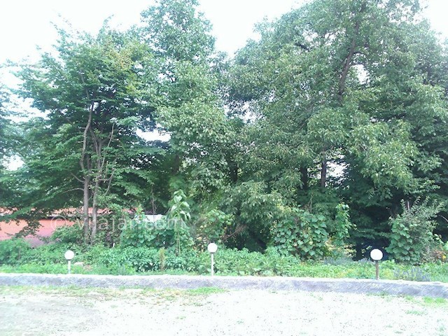 عکس شماره 130009 - اجاره ویلا جنگلی تراس دار کلاردشت - 